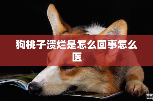 狗桃子潰爛是怎么回事怎么醫