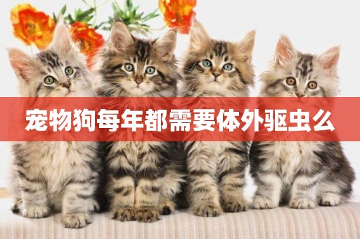 寵物狗每年都需要體外驅蟲么