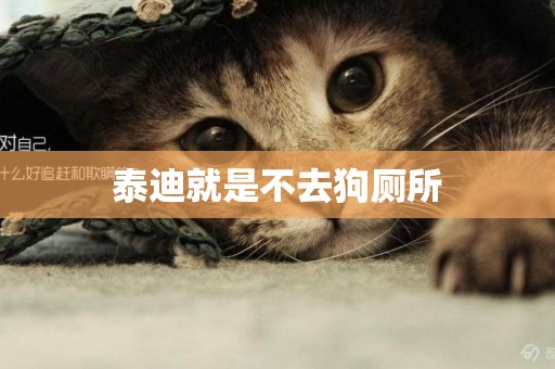 泰迪就是不去狗廁所