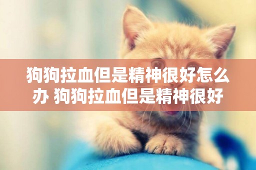 狗狗拉血但是精神很好怎么辦 狗狗拉血但是精神很好咋回事