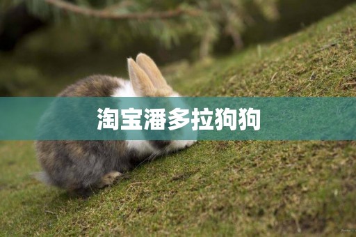 淘寶潘多拉狗狗