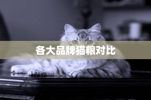 各大品牌貓糧對比
