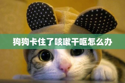 狗狗卡住了咳嗽干嘔怎么辦