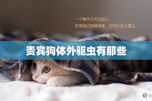 貴賓狗體外驅蟲有那些