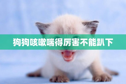 狗狗咳嗽喘得厲害不能趴下