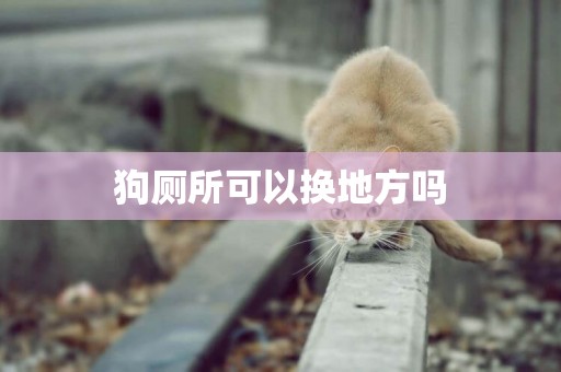 狗廁所可以換地方嗎