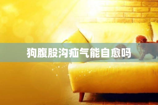 狗腹股溝疝氣能自愈嗎