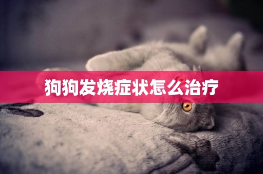 狗狗發燒癥狀怎么治療