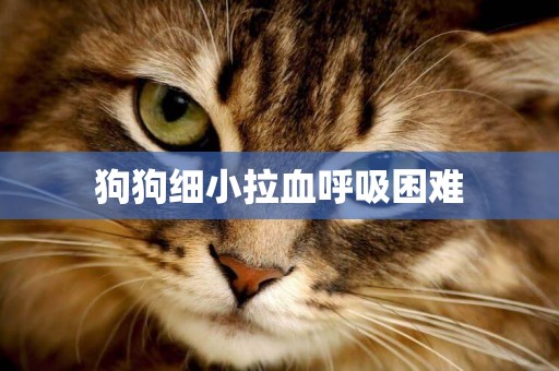 狗狗細小拉血呼吸困難
