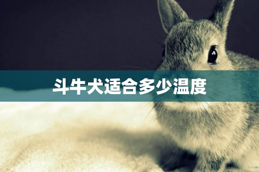 斗牛犬適合多少溫度