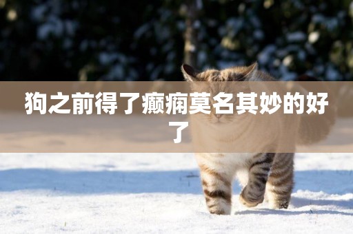 狗之前得了癲癇莫名其妙的好了