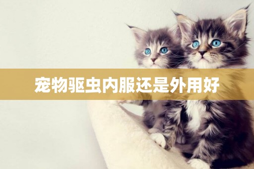 寵物驅蟲內服還是外用好