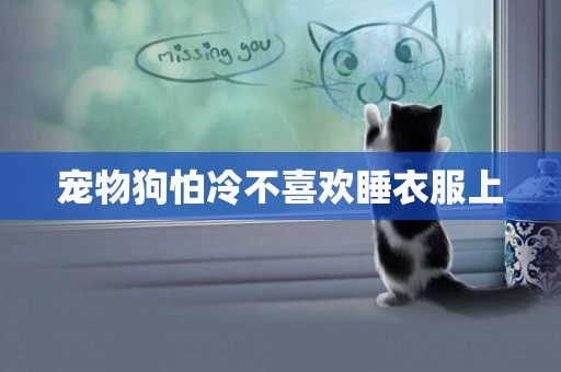寵物狗怕冷不喜歡睡衣服上