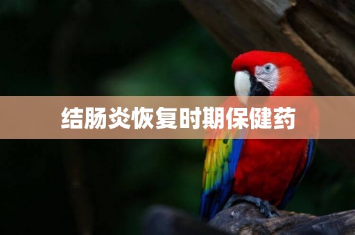 結腸炎恢復時期保健藥