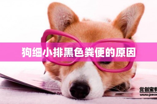 狗細小排黑色糞便的原因