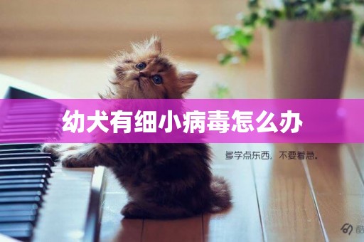 幼犬有細小病毒怎么辦