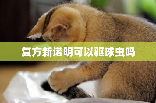 復方新諾明可以驅球蟲嗎