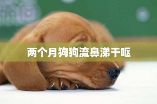 兩個月狗狗流鼻涕干嘔