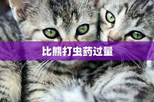 比熊打蟲藥過量