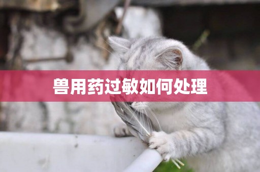 獸用藥過敏如何處理