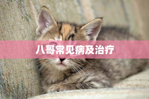 八哥常見病及治療