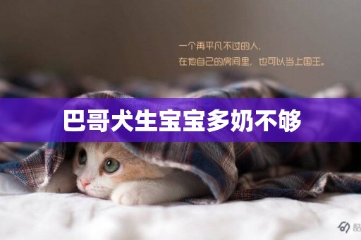 巴哥犬生寶寶多奶不夠