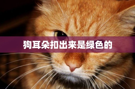 狗耳朵扣出來是綠色的