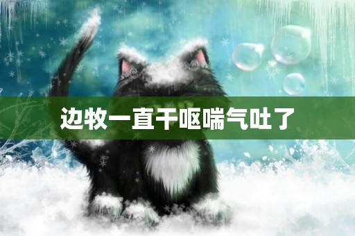 邊牧一直干嘔喘氣吐了