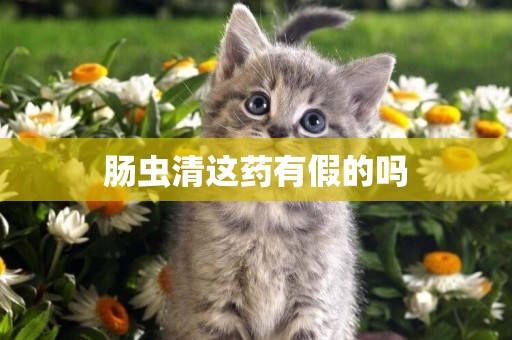 腸蟲清這藥有假的嗎