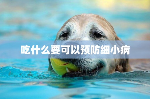 吃什么要可以預防細小病