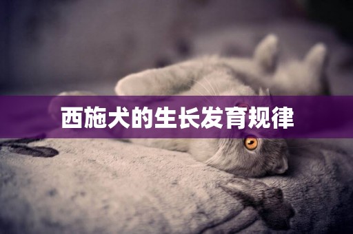 西施犬的生長發育規律