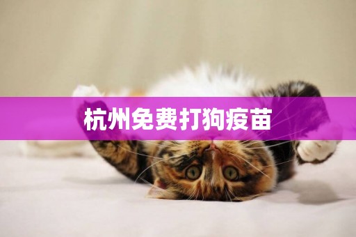 杭州免費打狗疫苗