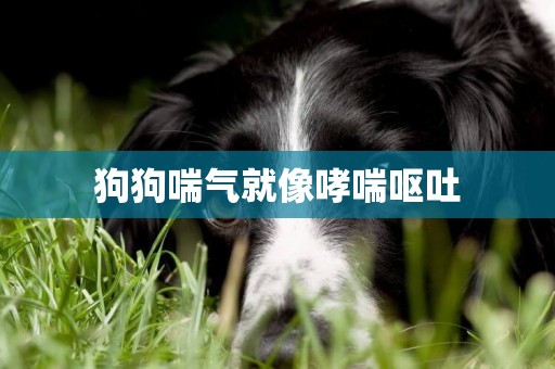 狗狗喘氣就像哮喘嘔吐