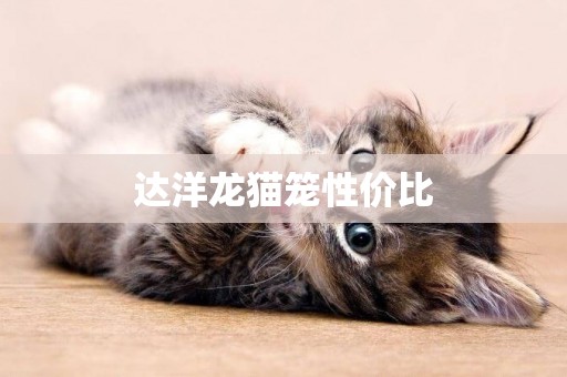 達洋龍貓籠性價比