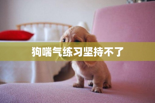 狗喘氣練習堅持不了