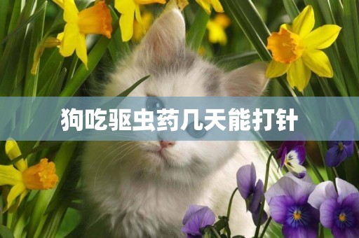 狗吃驅蟲藥幾天能打針