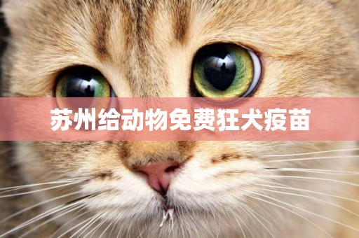 蘇州給動物免費狂犬疫苗