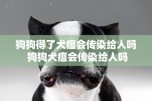 狗狗得了犬瘟會傳染給人嗎 狗狗犬瘟會傳染給人嗎