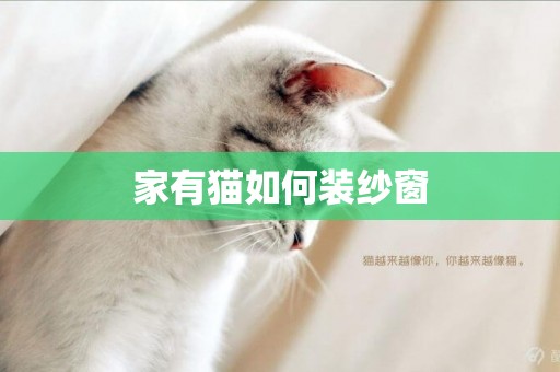 家有貓如何裝紗窗