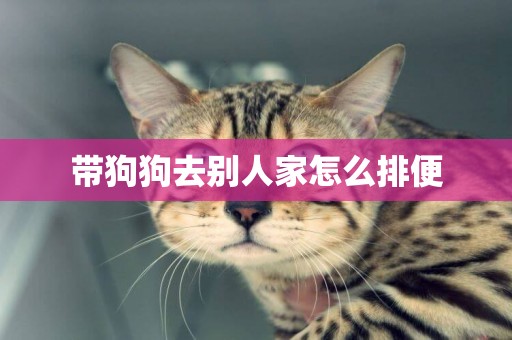 帶狗狗去別人家怎么排便