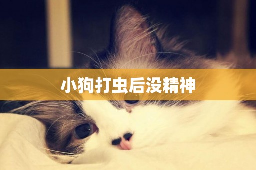 小狗打蟲后沒精神