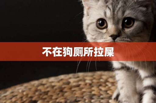 不在狗廁所拉屎