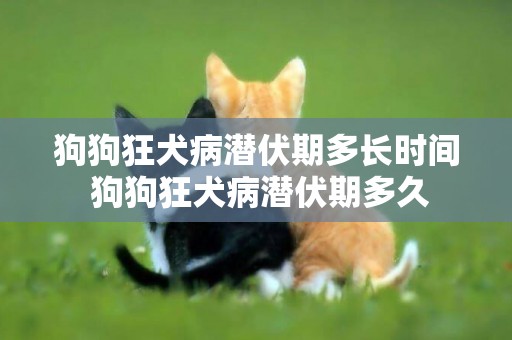 狗狗狂犬病潛伏期多長時間 狗狗狂犬病潛伏期多久