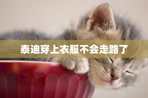 泰迪穿上衣服不會走路了