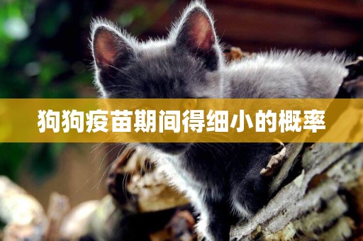 狗狗疫苗期間得細小的概率