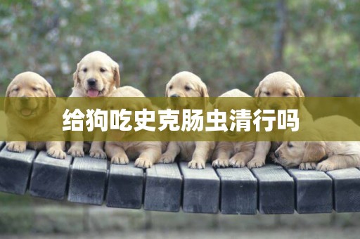 給狗吃史克腸蟲清行嗎