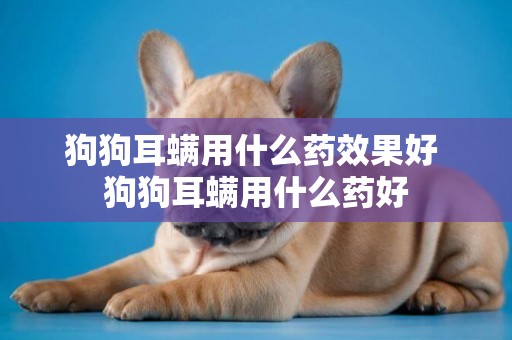 狗狗耳螨用什么藥效果好 狗狗耳螨用什么藥好