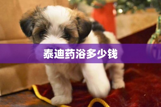 泰迪藥浴多少錢