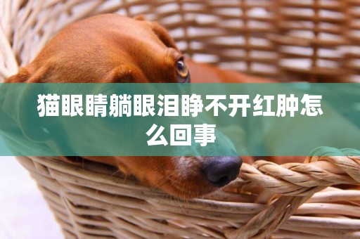 貓眼睛躺眼淚睜不開紅腫怎么回事