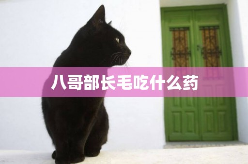 八哥部長毛吃什么藥